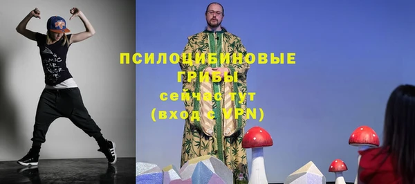 гидропоника Бугульма