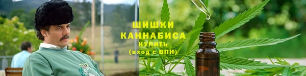 соль ск Бородино