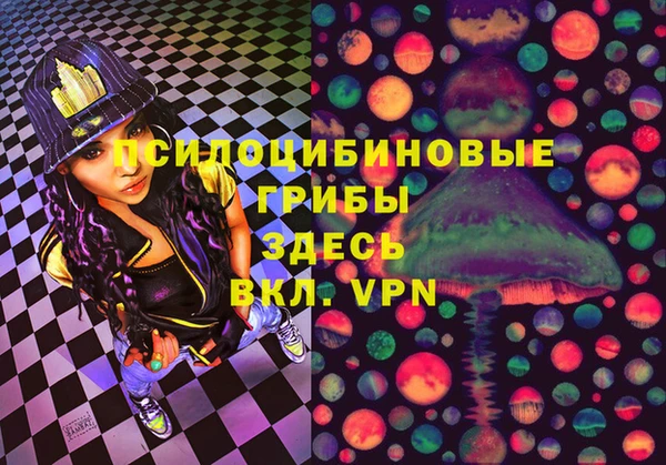 хмурый Бронницы