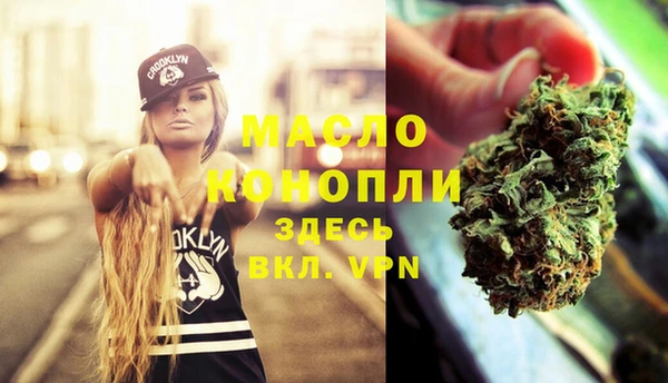 молекула духа Верхний Тагил