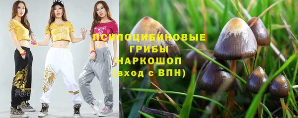соль ск Бородино