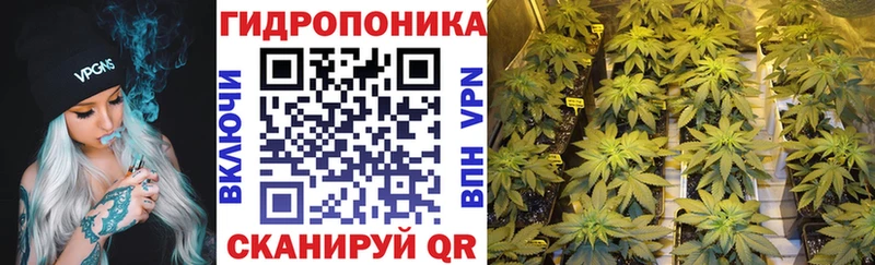 Каннабис VHQ  дарк нет формула  Чита 